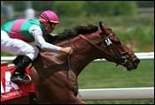 Frankel, Dollase Runners Dominate Californian Frankel, Dollase Runners Dominate Californian