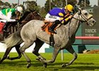 Gorgeous Goose Takes Wing in Wilshire Win Gorgeous Goose Takes Wing in Wilshire Win