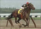 Pleasant Home, with Cornelio Velasquez aboard, runs to victory in the Bed o' Roses Breeders' Cup Handicap.