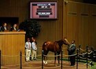 Hystericalady, brought top price of $3 million.