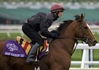 George Washington Sires Filly George Washington Sires Filly
