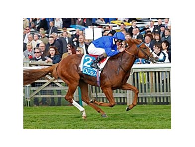 Dawn Approach bounds home to win the Dubai Dewhurst Stakes at Newmarket.<br><a target="blank" href="http://photos.bloodhorse.com/AtTheRaces-1/at-the-races-2012/22274956_jFd5jM#!i=2146979185&k=xHSVFsW">Order This Photo</a>