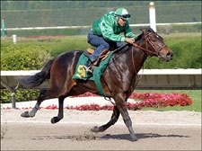Wind Slows Times Down in OBS Under Tack Show Wind Slows Times Down in OBS Under Tack Show