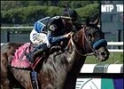 Hunch Pays for Taste of Paradise in Vosburgh Hunch Pays for Taste of Paradise in Vosburgh