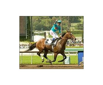 Jockey Alex Solis crosses the finish line aboard Brother Derek after an easy victory in Saturday's Santa Anita Derby.