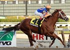 Driven by Success takes on a full field in the General George Handicap.