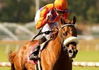 Malibu Pier wins the Beverly Hills Handicap.
<br><a target="blank" href="http://www.bloodhorse.com/horse-racing/photo-store?ref=http%3A%2F%2Fpictopia.com%2Fperl%2Fgal%3Fprovider_id%3D368%26ptp_photo_id%3D9577284%26ref%3Dstory">Order This Photo</a>