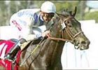 Dublino Struts Out in Wilshire Handicap Dublino Struts Out in Wilshire Handicap