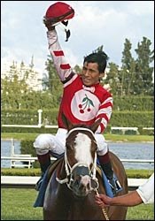 Graded Stakes Winner Wynn Dot Comma Euthanized Graded Stakes Winner Wynn Dot Comma Euthanized
