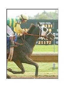 Scrimshaw drives to the finish line in the Coolmore Lexington Stakes, Saturday at Keeneland.