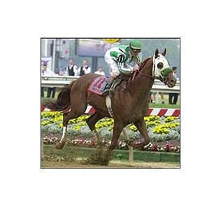 Ears pricked, Point Given crosses the finish line alone to win the Preakness Stakes.