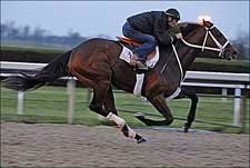 Hard Spun Gets 'Exactly What He Needed' in Keeneland Work Hard Spun Gets 'Exactly What He Needed' in Keeneland Work