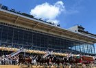 Preakness: Attendance Up, Total Handle Down Preakness: Attendance Up, Total Handle Down