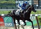 Songster and Edgar Prado capture fhe Bold Ruler Stakes Saturday at Belmont.<br><a target="blank" href="http://www.bloodhorse.com/horse-racing/photo-store?ref=http%3A%2F%2Fpictopia.com%2Fperl%2Fgal%3Fprovider_id%3D368%26ptp_photo_id%3D1179952%26ref%3Dstory">Order This Photo</a>