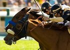 Magical Fantasy (inside) and Black Mamba, who finished a nose apart in the Santa Barbara, face off again in the Gamely.<br><a target="blank" href="http://www.bloodhorse.com/horse-racing/photo-store?ref=http%3A%2F%2Fpictopia.com%2Fperl%2Fgal%3Fprovider_id%3D368%26ptp_photo_id%3D8018773%26ref%3Dstory">Order This Photo</a>