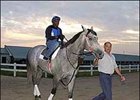 Jiggs Coz and Marchfield Meet Again in Queens Plate Jiggs Coz and Marchfield Meet Again in Queens Plate