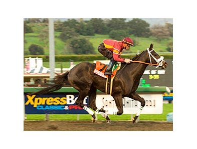 Georgie Boy pulls away in the Sunshine Millions Sprint.<br><a target="blank" href="http://www.bloodhorse.com/horse-racing/photo-store?ref=http%3A%2F%2Fpictopia.com%2Fperl%2Fgal%3Fprovider_id%3D368%26ptp_photo_id%3D7536704%26ref%3Dstory">Order This Photo</a>