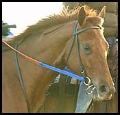 Lake Lady Out of Oaks; To Get Break Lake Lady Out of Oaks; To Get Break