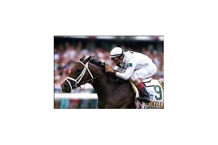 Bluegrass Cat, with John Velazquez aboard, wins Sunday's Haskell Invitational.