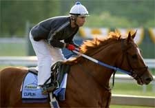 Curlin Camp Expects Big Improvement Curlin Camp Expects Big Improvement