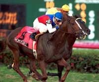 Gulfstream Park Report: Inexplicable Wins Canadian Turf Handicap Gulfstream Park Report: Inexplicable Wins Canadian Turf Handicap