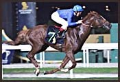 Grandera Posts Ascot Upset Grandera Posts Ascot Upset