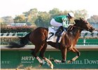 Capt. Candyman Can is the lone graded stakes winner in the Kentucky Jockey Club Stakes.