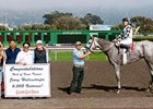 Celebrating Jerry Hollendorfer's 6000th win with Just Tappin It and Russell Baze at Golden Gate.
