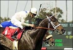 Scottsbluff Zips 5 1/2 Furlongs on Turf in World Record Time Scottsbluff Zips 5 1/2 Furlongs on Turf in World Record Time