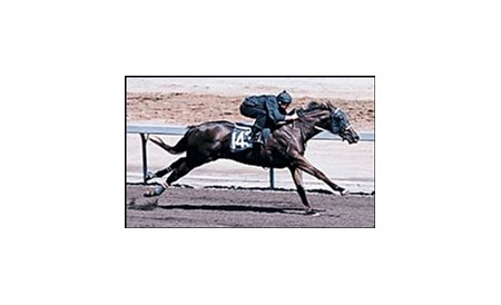 Barretts sale-topper, in pre-sale workout that was believed to be the fastest ever by a 2-year-old sale horse.
