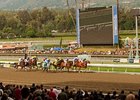 The dirt track at Santa Anita.