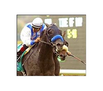 Blackdoun, left, wins the La Jolla Handicap, Saturday at Del Mar.