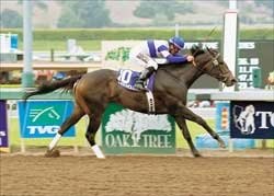 Juvenile Fillies Preview: Free for All Juvenile Fillies Preview: Free for All
