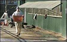 Another Horse Euthanized at Pimlico; Laurel Park Cancels Two Racing Cards Another Horse Euthanized at Pimlico; Laurel Park Cancels Two Racing Cards