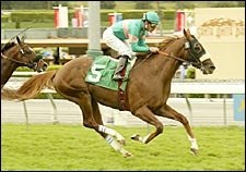 Stanley Park Upsets Meteor Storm in San Luis Rey Stanley Park Upsets Meteor Storm in San Luis Rey