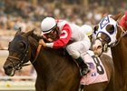 Spring House earned a repeat victory in the Del Mar Handicap. <br><a target="blank" href="http://www.bloodhorse.com/horse-racing/photo-store?ref=http%3A%2F%2Fpictopia.com%2Fperl%2Fgal%3Fprovider_id%3D368%26ptp_photo_id%3D8445703%26ref%3Dstory">Order This Photo</a>