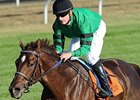 Rogue Romance in the Bourbon Stakes.
<br><a target="blank" href="http://www.bloodhorse.com/horse-racing/photo-store?ref=http%3A%2F%2Fpictopia.com%2Fperl%2Fgal%3Fprovider_id%3D368%26ptp_photo_id%3D9226569%26ref%3Dstory">Order This Photo</a>