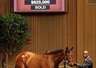 Sale-Topping Wilburn Tries BC Dirt Mile Sale-Topping Wilburn Tries BC Dirt Mile