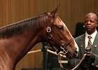 Hip 658; filly, Malibu Moon - Erhu by Tactical Cat, brought $700,000 to top day 4 of the Keeneland September yearling sale.