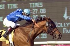 Always First Wins Sunset in U.S. Stakes Debut Always First Wins Sunset in U.S. Stakes Debut