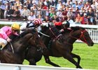 Good Ba Ba winning the Cathay Pacific Hong Kong Mile for the 3rd time.