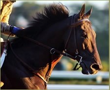 Mandella Disappointed Rock Hard Ten is Out of Classic Mandella Disappointed Rock Hard Ten is Out of Classic