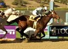 Idiot Proof BC Sprint Bound After Ancient Title Scorcher Idiot Proof BC Sprint Bound After Ancient Title Scorcher