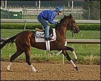 Derby Contenders Sizzle in Saturday Workouts Derby Contenders Sizzle in Saturday Workouts