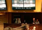 Hip 206 was the sale topper at the Barretts October Yearling Sale.