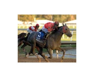 Due scores upset win in Maryland Million Classic.<br><a target="blank" href="http://www.bloodhorse.com/horse-racing/photo-store?ref=http%3A%2F%2Fpictopia.com%2Fperl%2Fgal%3Fgallery_id%3D6823%26process%3Dgallery%26provider_id%3D368%26ptp_photo_id%3D599731%26sequencenum%3D%26page%3D">Order This Photo</a>
