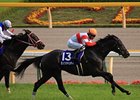Danon Chantilly Sets Mark in Japan's Mile Cup Danon Chantilly Sets Mark in Japan's Mile Cup