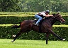 River Turf a Springboard for Royal Ascot? River Turf a Springboard for Royal Ascot?