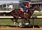 Derby winner Street Sense works out at Churchill Downs.