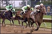 Posse Lassoes Lafayette Stakes Posse Lassoes Lafayette Stakes